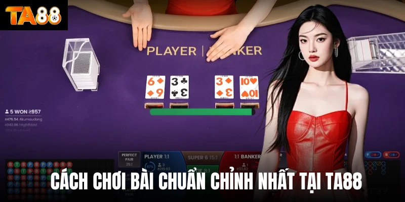 Cách chơi bài chuẩn chỉnh nhất tại Ta88
